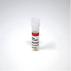 70055 Флуоресцентный краситель митохондрий MitoView™633, 20 х 50 мкг, Biotium